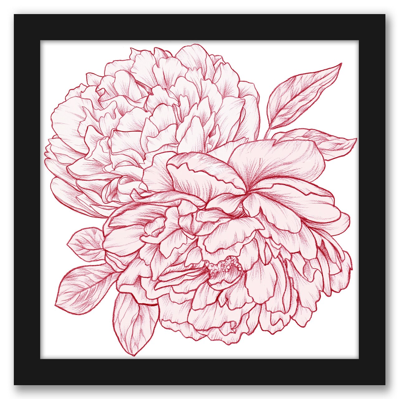 Peonies by Laura OConnor Frame  - Americanflat